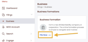 An orange arrow points to an orange box around File Now in the Business Formations section.