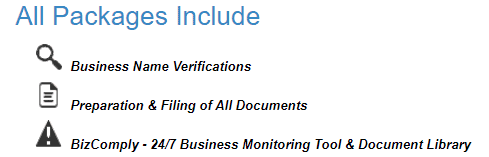 Bizfilings' LLC package inclusions